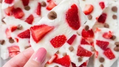 Frozen Yogurt Bark with Strawberries and Chocolate Chips