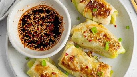 Vegan Cabbage-Wrapped Dumplings with Tofu